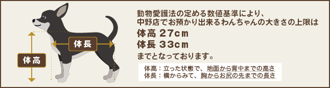 中野店のホテルのわんちゃん大きさの制限は体高27cm体長33cmまでとなっております。