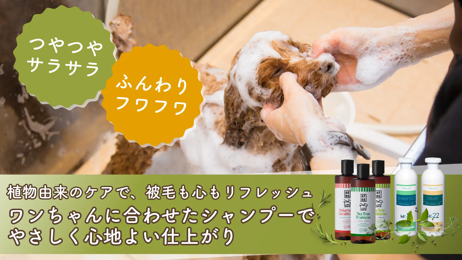 ワンちゃんに合わせたシャンプーでやさしく心地よい仕上がり