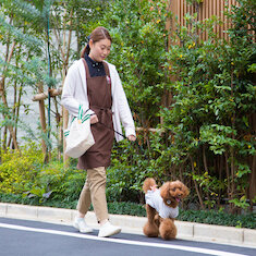 1頭ずつ丁寧に散歩