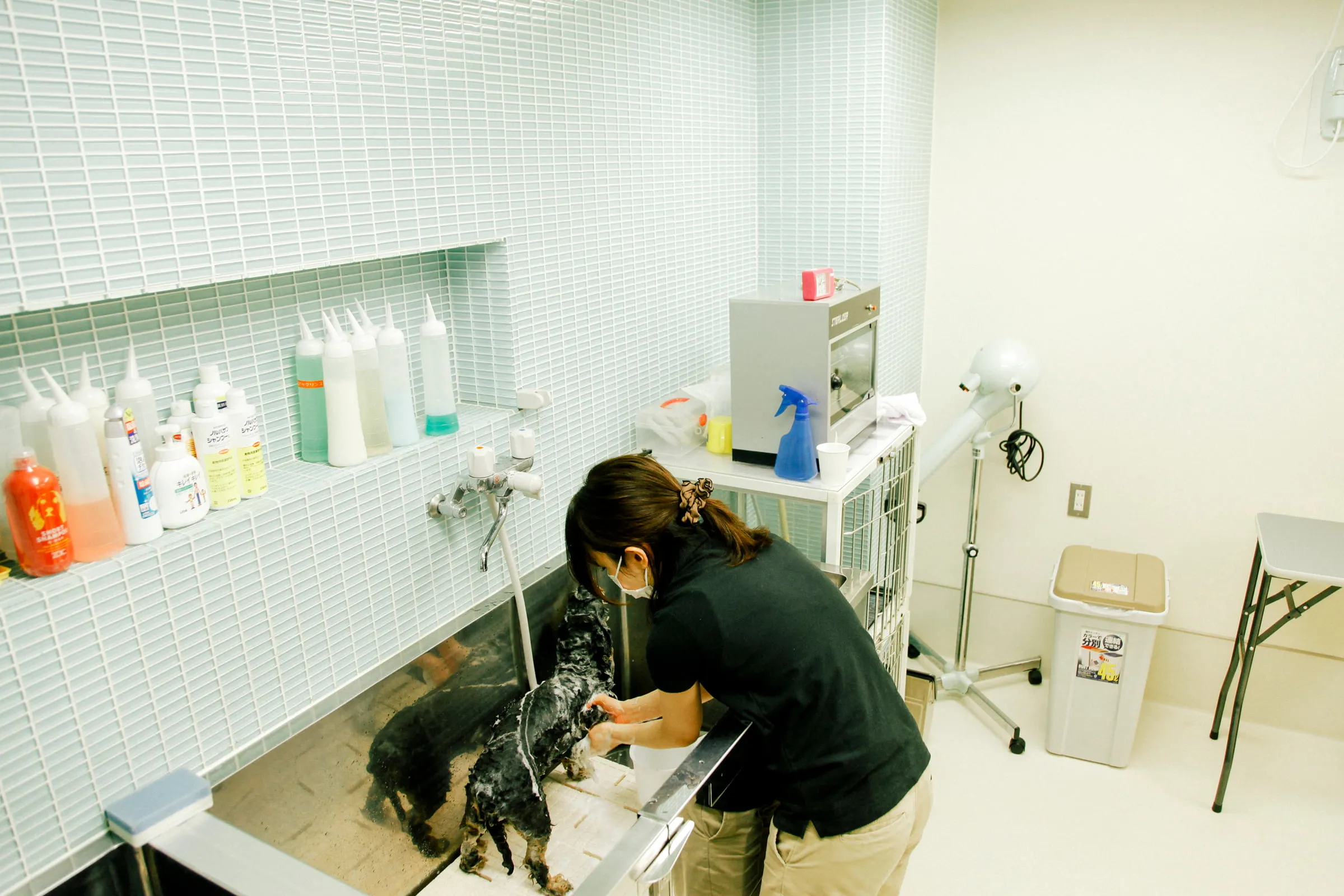 ドッグサロンWITH（ウィズ）新宿店の店内画像3