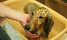 炭酸泉温浴のメリット 01 安心の弱酸性